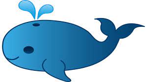 Check spelling or type a new query. Gambar Ikan Hiu Yang Besar Radea