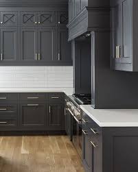 kitchen with gray cabinets: why to