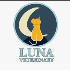 Shah alam veterinary clinic klinik veterinar shah alam veterinarian. Luna Veterinary Clinic And Surgery Home Facebook