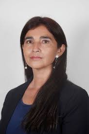 Resultados de búsqueda