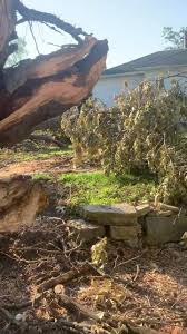 Maybe you would like to learn more about one of these? Noe Tree Service Posts Facebook