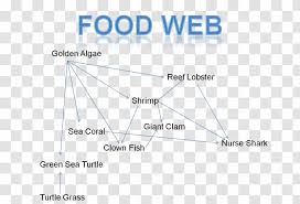 Generally, coral reefs are considered to be those limestone formations and associated biotic communities in. Belize Barrier Reef Mesoamerican System Turtle Coral Food Chain Transparent Png