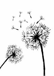 Wunderschöne bilder malerei brandmalerei zeichenutensilien bilder malvorlagen zum ausdrucken kostenlose ausmalbilder vorlagen malbuch vorlagen. Dandelion Plus Lots Of Other Free Graphics Kostenlose Schablonen Holz Gravieren Vorlagen Druckbare Schablonen