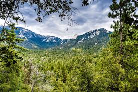 Maybe you would like to learn more about one of these? 16 Great Places To Go Camping In Southern California And Baja Guides Sandiegomagazine Com