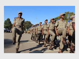 Gautenggov On Twitter As Part Of Our Contribution To The Tshepo1million 70 Interns Were Appointed In At The Department 66 Patrollers Also Participated In Epwp 151 Learners Have Been Appointed At