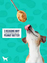 Can Dogs Eat Peanut Butter Can Dogs Eat Dog Nutrition Raw Feeding For Dogs