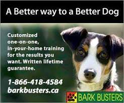 Bark Busters Edmonton Home Of Canada S Premier Grand Master Trainer Leader Of The Pack Canada S Most Established Bark B Busters Best Friends Best Dogs