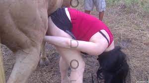 Rough zoo porn with a huge horse dick in amateur video