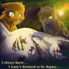 Does anyone know if there will ever be a movie for erin hunters warriors series? 19 Best Warrior Cats Movie Ideas Warrior Cats Warrior Warrior Cats Art