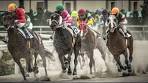 【KAWASAKI DIRT】JAPANESE HORSE RACE ANALYSIS ...