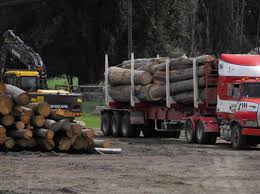 Enter your zip to get started. Trees Mcmahon S Earthmoving Tree Services Jindabyne