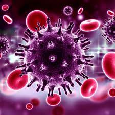 Shalhouba s., abdulwahab a.z., simhairib r., mushtaqa a. 5 Irrtumer Uber Hiv Aids Sti Auf Tour