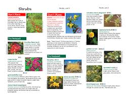 Program is the result of collaboration between the ecological restoration and horticultural communities. Don T Gardening Green Cal Ipc California Invasive Flip Ebook Pages 1 5 Anyflip Anyflip