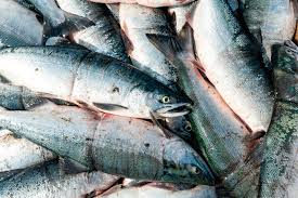 4 likes · 62 were here. Uncertain Summer In Alaska S Fish Basket Hakai Magazine