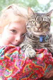 Leanne's House: The Ferny Creek General Store etc...