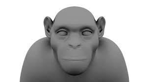 3d Model Chimpanzee C4d Obj 3ds Fbx Ma Lwo 65703 Chimpanzee 3d Model Model