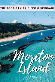 How To Visit Moreton Island From Brisbane Australia Australian Travel Oceania Travel Australia Travel Guide