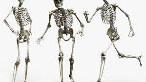 Cu toate acestea, există medicamente disponibile pentru a preveni și trata osteoporoza. L Z2fux39upwlm