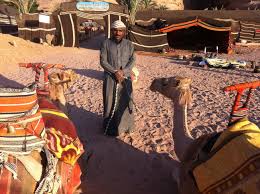 I have read that there is a figurine that spawns near the entrance to the. Sunrise Camel Ride Snorkeling In Aqaba Jordan