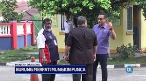 Jln kelisa 1, taman tanjung puteri resort 81700 pasir gudang johor. Carian Mengenai Topik Smk Tanjung Puteri Resort Astro Awani Dokterandalan
