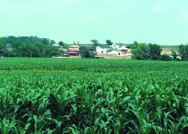 Luego de concluido el encuentro, los más de 7,000 aficionados. Field Of Dreams Wikipedia La Enciclopedia Libre
