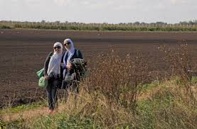 Wird differenziert zwischen dem land, aus dem ich einreise und meiner. Fluchtlinge In Ungarn Nicht Alle Wollen Nach Deutschland Panorama Stuttgarter Nachrichten