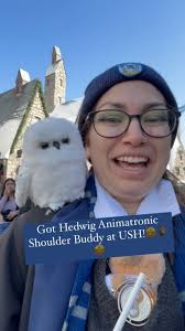 OMG, this Hedwig Animatronic Shoulder Buddy is SOO CUTE and cracks me  up!!!🤩🙌🏼🦉🤣🤪 Too much fun! Got him at the Owl Post in  #wizardingworldofharrypotter at Universal Studios Hollywood🤩🙌🏼🦉🙌🏼🤩,  🎬🎬🎬🎬#ush ...