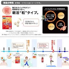 ゆうパケット可 ファンケル パーフェクトスリムw 90粒 30日分 オレアノール酸含有オリーブ葉エキス ヒハツエキス L カルニチン 金時ショウガ含有食品 4908049478186 デュアルストア 通販 Yahoo ショッピング