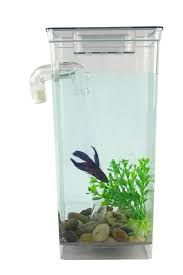 An aquarium coffee table is the ultimate statement piece in any living room. Self Cleaning Fun Fish Tank Small Aquarium Desktop Bowl As Seen On Tv Walmart Com Walmart Com