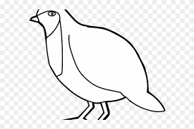 Download and use 30,000+ black and white background stock photos for free. Blue Jay Clipart Burung Blue Jay Clipart Burung Free Transparent Png Clipart Images Download