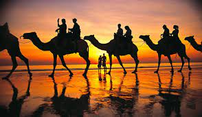 Sun starting to set in the background. 100 Things To Do Before You Die 041 Take A Cable Beach Camel Ride Australian Traveller
