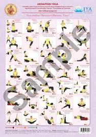 prenatal yoga wall chart andiappan yoga