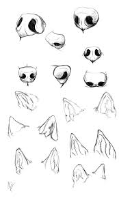 Check spelling or type a new query. Wolf Nose Ears Study By Esphir Animal Drawings Animal Sketches Wolf Sketch