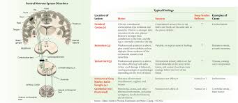 Image result for Neurologic Lesion Localization