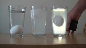 floating egg experiment youtube