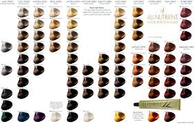 hair color chart shades more images in 2019 hair color