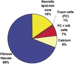 Pathogenesis Of Atherosclerosis Sciencedirect