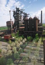 Latz Partner Landscape Park Duisburg Nord Blast Furnace Landschaftspark Duisburg Nord Landschaftspark Duisburg Landschaft