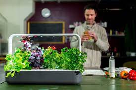Click Grow Meet The New Smart Garden 9 That Grows More Facebook