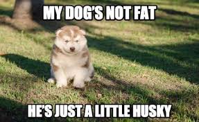 The textual content of this image is harassing me or someone i. Pin On Animal Pictures
