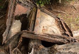 Divers recover parts of derailed train near Florence