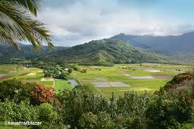 The garden is home to over 2000 plant species, representing more than 125 families and 750 genera of tropical exotics. This Is Why Kauai Is Called The Garden Island Hawaii Adventure Travel