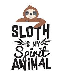 My Spirit Animal Is A Sloth Sloth Spirit Animal My Spirit Animal