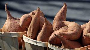(the tongan word for the phloem/inner bark is tu tu.) this particular root crop looks just like a potato and mele (kaloni's daughter) told me that it is called mahoa'a. Tongan Potato Tongan Potato Sweet Potatoes Of The World 14 Sweet PuleÊ»anga FakatuÊ»i Ê»o Tonga Is A Polynesian Country And Also An Archipelago Comprising 169 Islands Of Which 36 Are Inhabited Risako Chikafuji