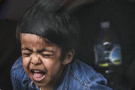 Relatives of drowned Syrian boy arrive in Canada as refugees