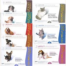 Revolution For Cats Dogs Free Shipping 1800petmeds