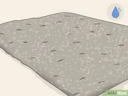 Beer spills on the carpet can be pretty annoying as it can leave a large stain and and leave your carpet with unpleasant odor that crapper be tough to dredge. 3 Simple Ways To Clean Beer Out Of Carpet Wikihow