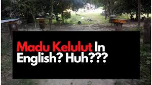 Jump to navigation jump to search. Madu Kelulut In English Youtube