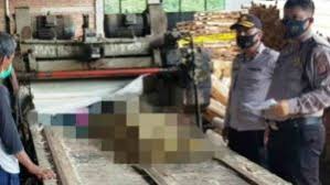Maybe you would like to learn more about one of these? Nahas Kepala Tergulung Mesin Penggiling Kayu Idah Tewas Di Tempat