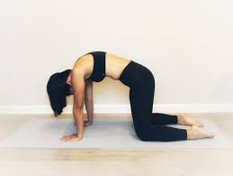 We did not find results for: Gentle Yoga Poses For Back Pain Yoga With Rona